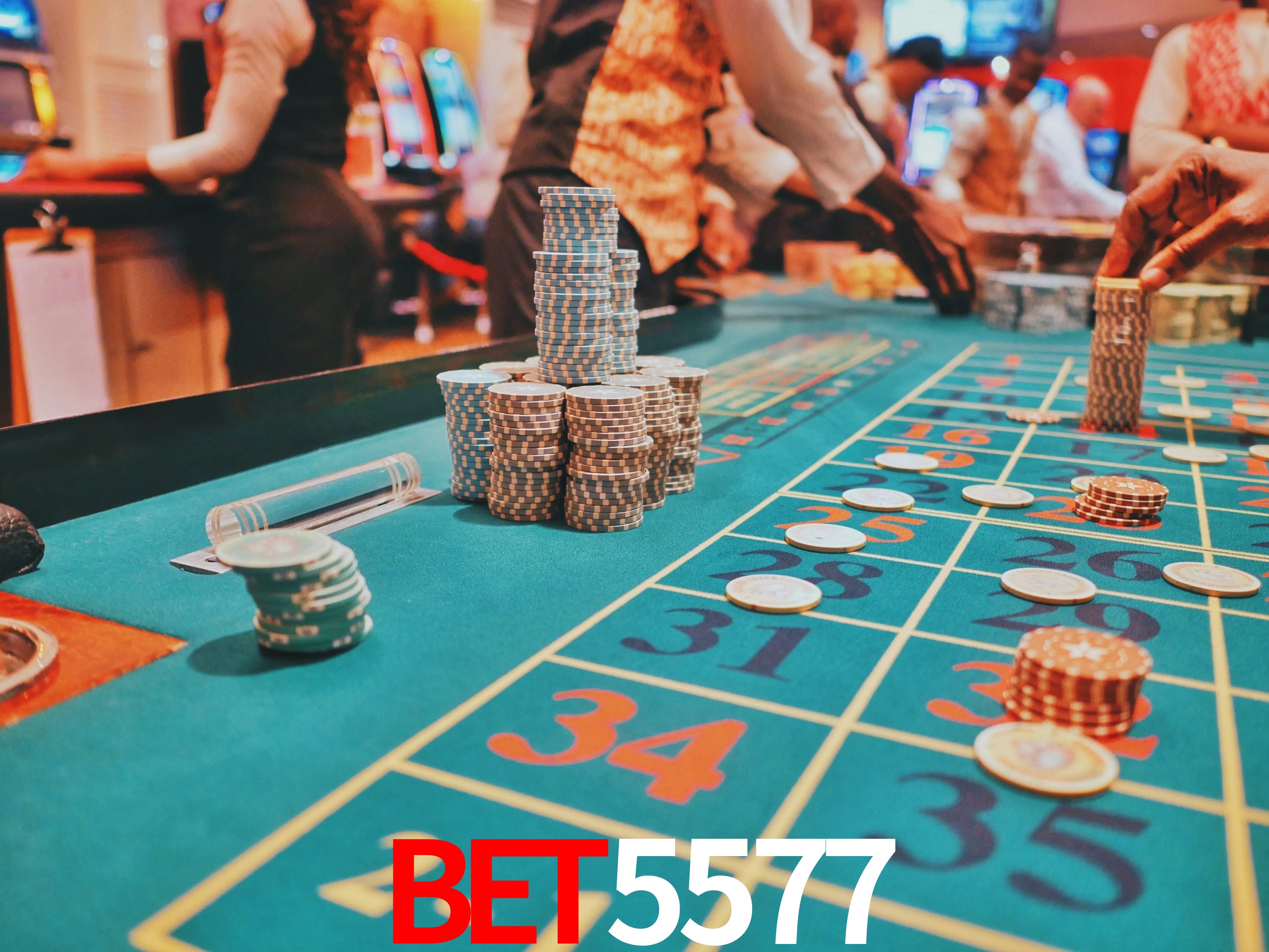 Experiência VIP bet5577